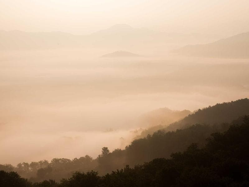 AI Productivity Suite